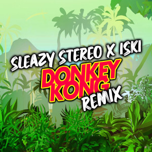 Listen to Donkey Kong (Remix) song with lyrics from Sleazy Stereo