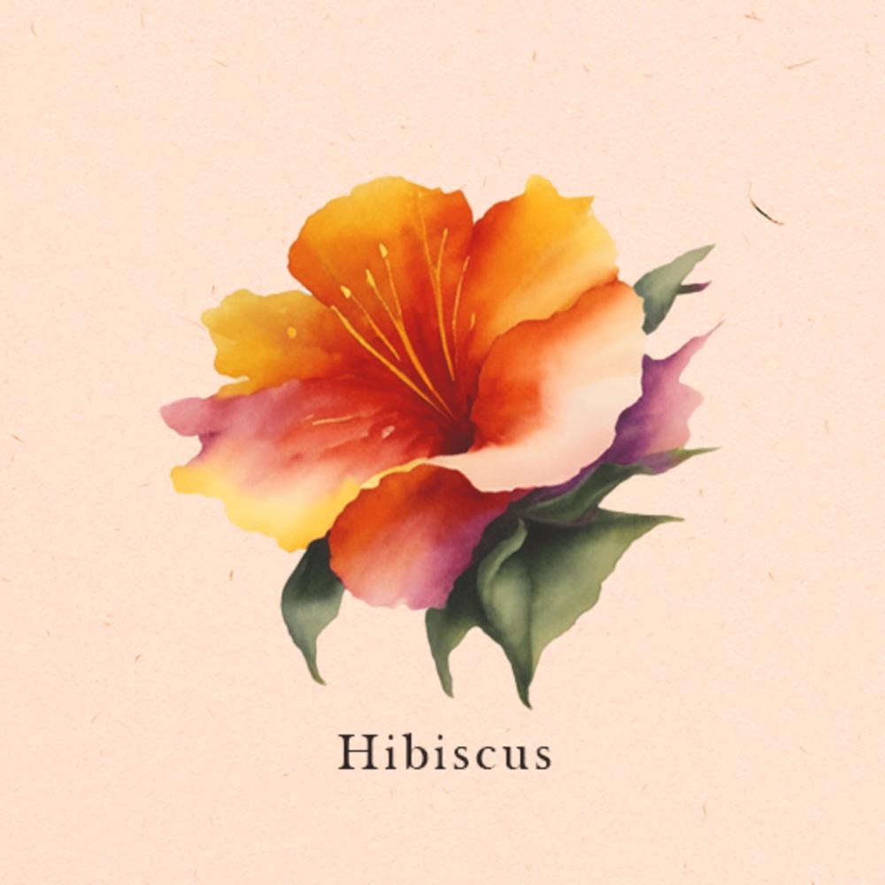 Hibiscus