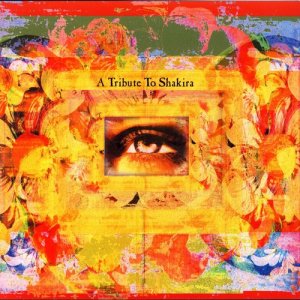 ดาวน์โหลดและฟังเพลง Underneath Your Clothes พร้อมเนื้อเพลงจาก Various