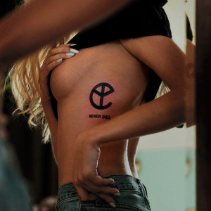ดาวน์โหลดและฟังเพลง Reckless (Explicit) พร้อมเนื้อเพลงจาก Yellow Claw