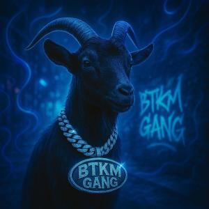Billy the Kid & The Southside Boys的專輯BTKGANG (Explicit)