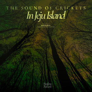 Healing Nature的專輯The Sound Of Crickets In Jeju Island