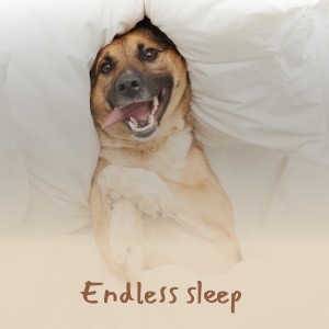 Listen to Patricia Ann song with lyrics from Thee Prophets