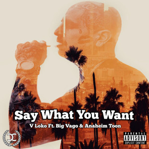 Listen to Say What You Want (Explicit) song with lyrics from V Loko