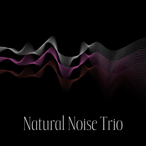 Listen to Sleep Quality (Pink Noise) song with lyrics from Natural Zen Meditation White Noise