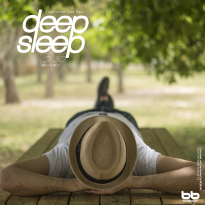 Listen to Piano for Sleep song with lyrics from HolyCow