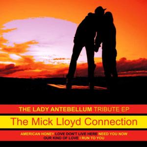 ดาวน์โหลดและฟังเพลง NEED YOU NOW พร้อมเนื้อเพลงจาก The Mick Lloyd Connection