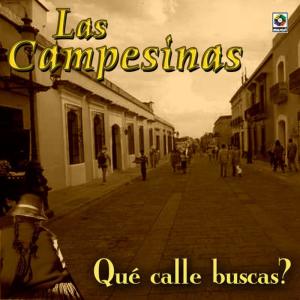 ดาวน์โหลดและฟังเพลง No No Hay Derecho พร้อมเนื้อเพลงจาก Las Campesinas