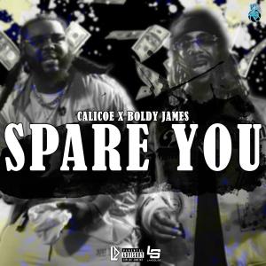 อัลบัม Spare you (feat. Boldy James) [Explicit] ศิลปิน Calicoe