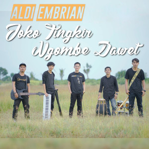Dengarkan Joko Tingkir Ngombe Dawet lagu dari Aldi Embrian dengan lirik