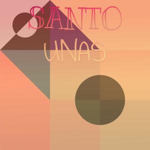 Various Artists的專輯Santo Unas