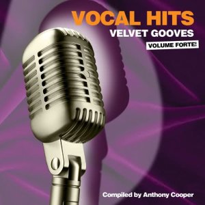 Various Artists的專輯Vocal Hits Velvet Grooves Volume Forte!