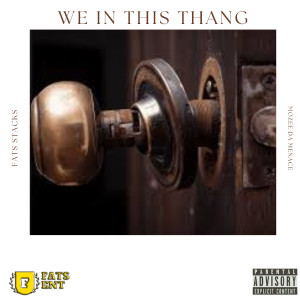 Listen to We in This Thang (Explicit) song with lyrics from Fats Stacks