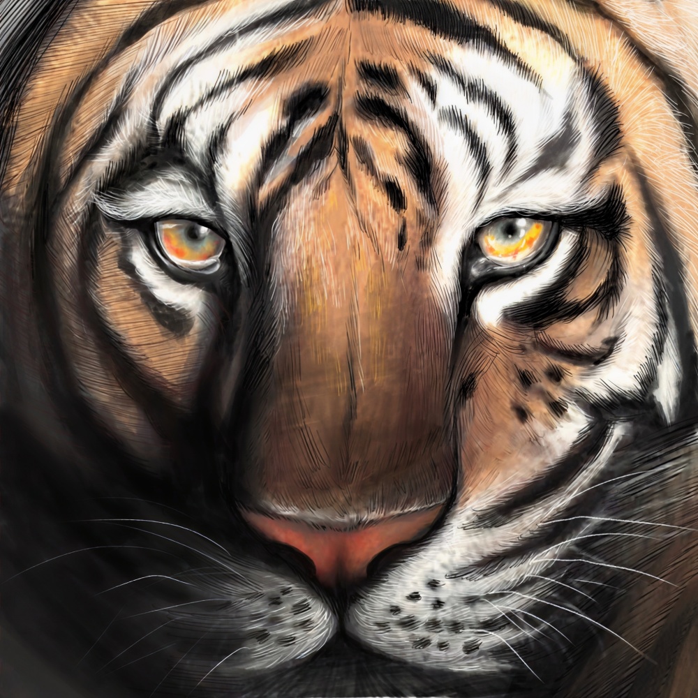 Crying Tigers