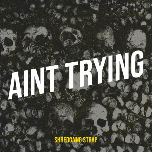 Shredgang Strap的專輯Aint Trying (Explicit)