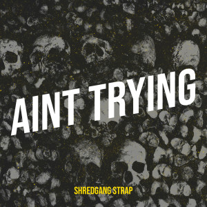 收聽Shredgang Strap的Aint Trying (Explicit)歌詞歌曲