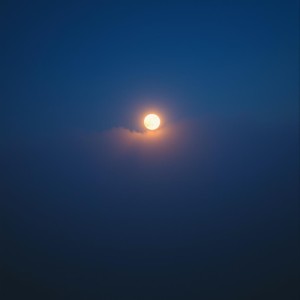 Listen to Under The Moonlight song with lyrics from Bonky