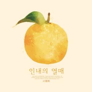 Album Fruit of perseverance from 