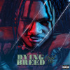 default album img