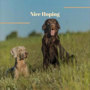 收聽Izequiel的Word Intermediate歌詞歌曲