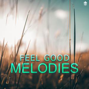 Album Feel Good Melodies oleh Various
