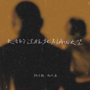 收听陆卡斯的失去的过往就别再回头望 (伴奏)歌词歌曲