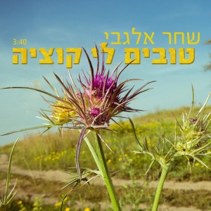 收聽שחר אלגבי的טובים לי קוציה歌詞歌曲