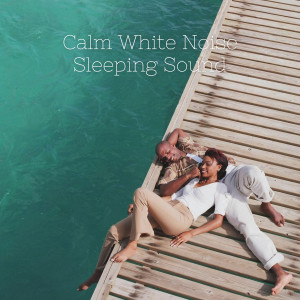 Album Calm White Noise Sleeping Sound from White Noise Sleep Sounds