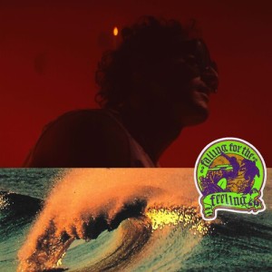 Album Falling For The Feeling from Hether