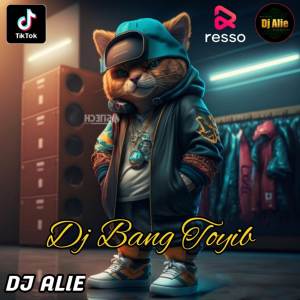 收聽Dj Alie的DJ BANG TOYIB歌詞歌曲