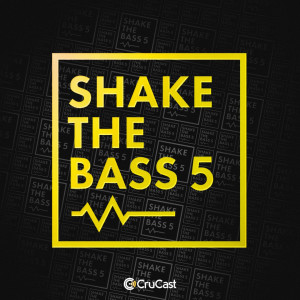 Various的專輯Shake the Bass 5