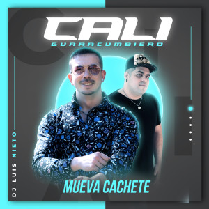 Listen to Lo Intentamos song with lyrics from Cali Guaracumbiero
