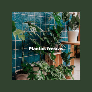 Jazz Collections for Reading的專輯Plantas frescas