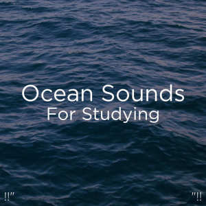 ดาวน์โหลดและฟังเพลง Nature Spring พร้อมเนื้อเพลงจาก Ocean Sounds