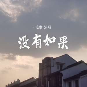 Listen to 没有如果 song with lyrics from 毛惠