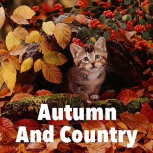 Listen to Model T Baby song with lyrics from Jack Turner