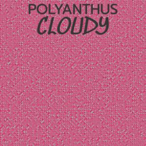 Album Polyanthus Cloudy from Various