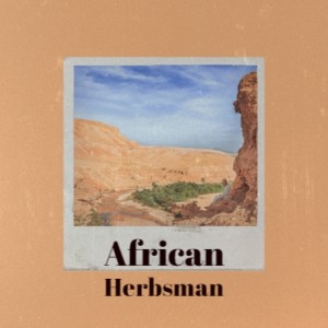 收听Jackie Mittoo的Ain't to Proud to Play歌词歌曲