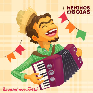Album Sucessos em Forró from 