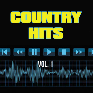 Instrumentals的專輯Country Hits, Vol. 1