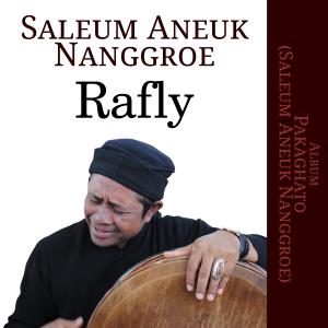Album Saleum Aneuk Nanggroe oleh Rafly