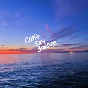 ดาวน์โหลดและฟังเพลง can't say goodbye พร้อมเนื้อเพลงจาก sammy rash