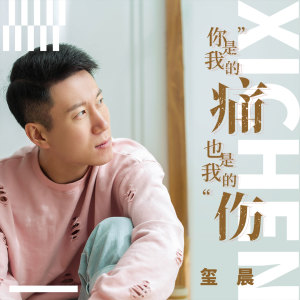 收聽璽晨的你是我的痛也是我的傷 (伴奏)歌詞歌曲