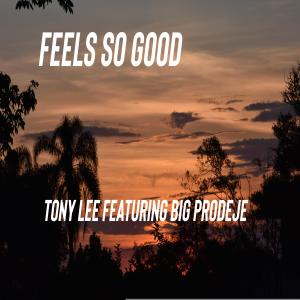 Tony Lee的專輯Feels So Good (feat. Big Prodeje)