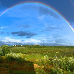 Patti Page的專輯Green World