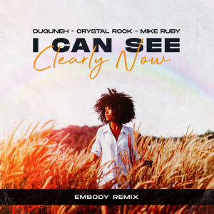 I Can See Clearly Now (Embody Remix)