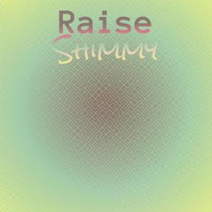 อัลบัม Raise Shimmy ศิลปิน Various