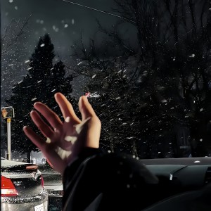 Listen to 我们错过了《伤感山歌》 (cover: 苏瑾颜|雷一轩) (完整版) song with lyrics from 尘心