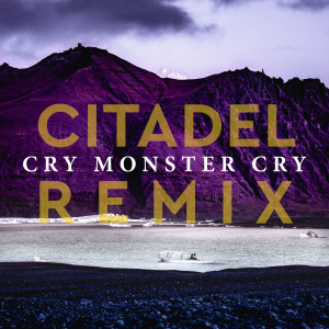 Album Citadel (Richey McCourt Remix) from Cry Monster Cry
