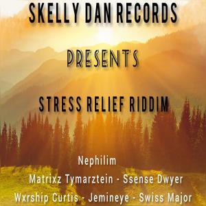 Album Stress Relief Riddim (Explicit) from Various